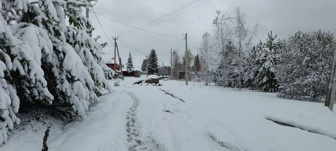 Со стороны улица выглядит даже пасторально, но под пышным снегом скрывается вода | Источник: Лариса Мацалак
