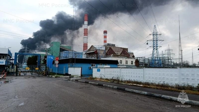 Источник: пресс-центр ГУ МЧС Московской области / 50.mchs.gov.ru