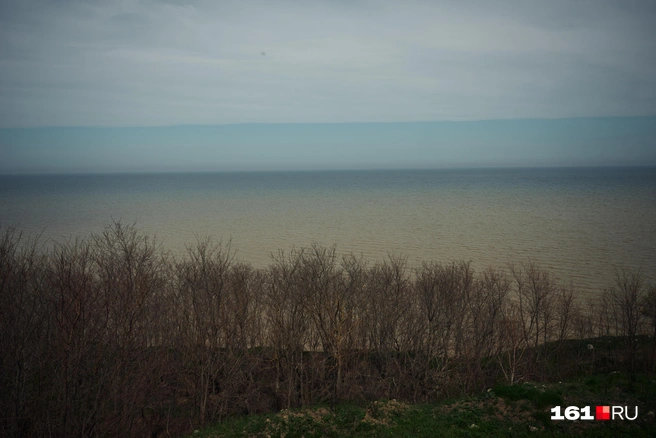 Берег Азовского моря в Молчановке особенно крутой | Источник: Артем Марьенко / 161.RU