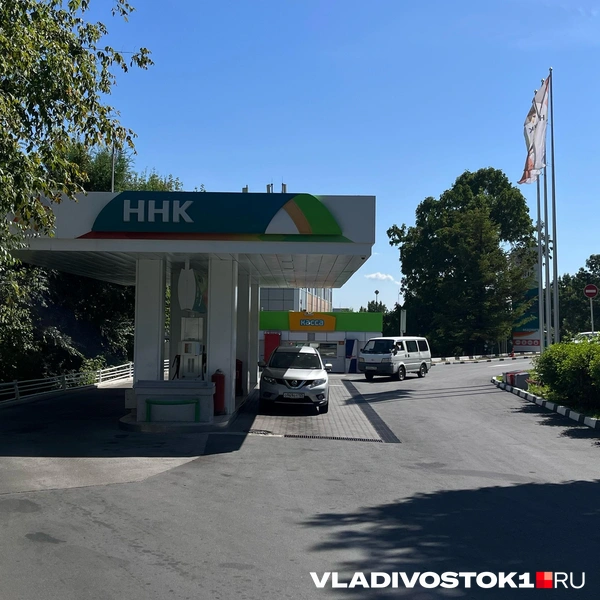 Источник: Елена Буйвол / VLADIVOSTOK1.RU