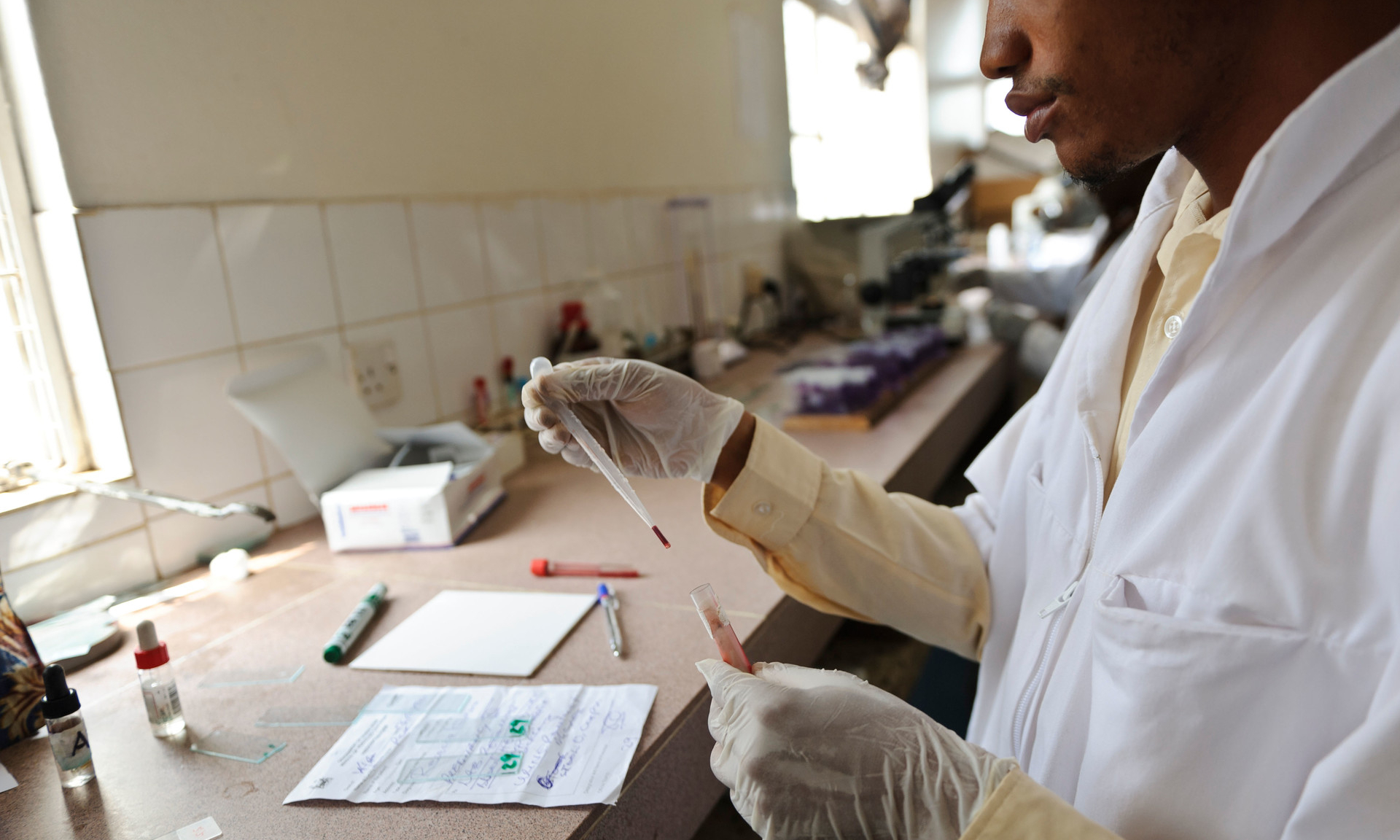 Новый штамм малярии устойчив к действию лекарств