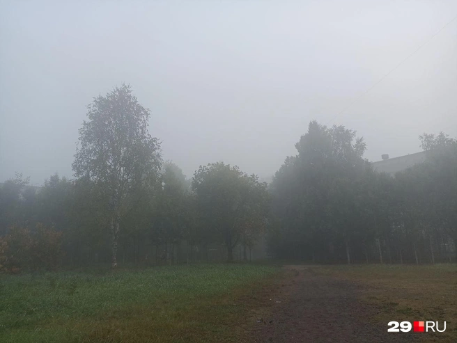 Источник: Иван Митюшёв / 29.RU