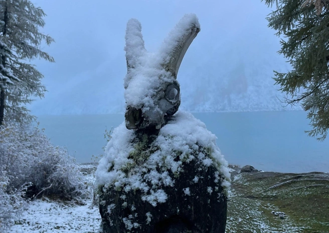 Инструктор поделился своим видением Алтая | Источник: Вадим Резник