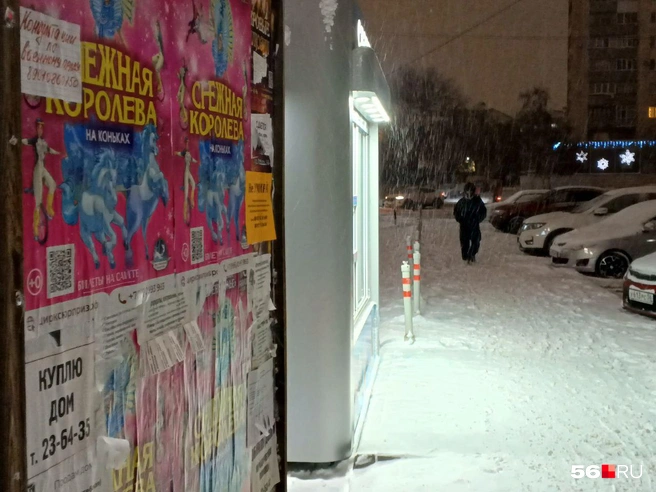 Источник: Анастасия Баринова / 56.RU