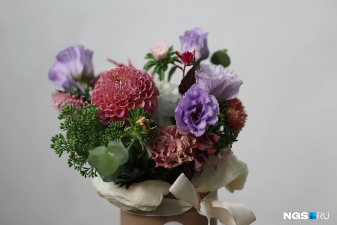 Цветы любят прохладу, но не стоит ставить их к очень холодному окну | Источник: Мария Тищенко / NGS.RU