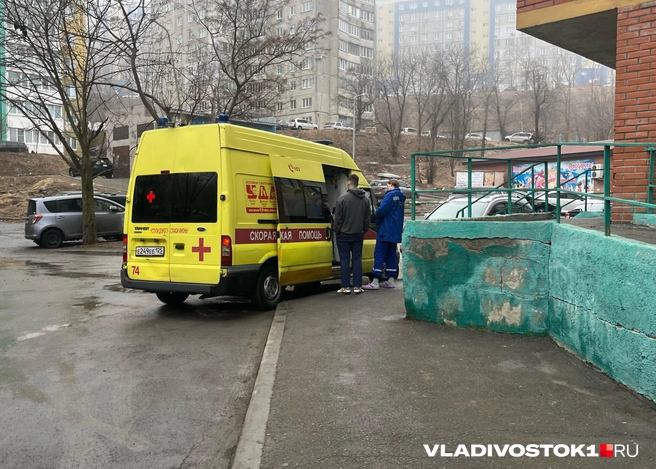 Дети оказались наиболее уязвимой группой | Источник: Елена Буйвол / VLADIVOSTOK1.RU