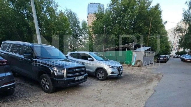 Как вам такой «газон»? | Источник: читатель NN.RU