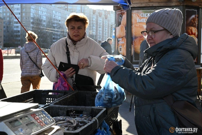 Возле станции метро «Комендантский проспект» | Источник: Андрей Бок / «Фонтанка.ру»