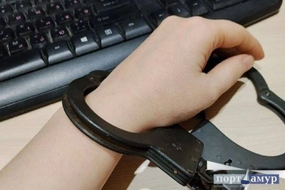Амурчанка скрыла поджоги и попала под статью