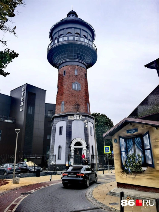 В этой башке располагается музей кошек | Источник: Анастасия Шевякова / 86.RU