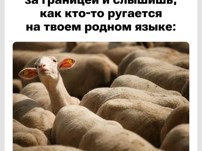 Честно признавайтесь, кто себя узнал? | Источник: Городские медиа