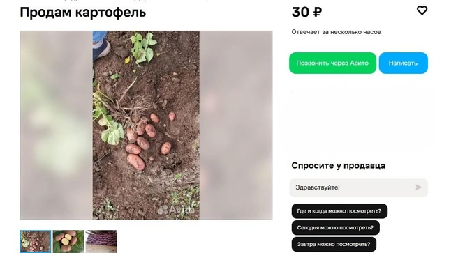 Источник: Avito.ru