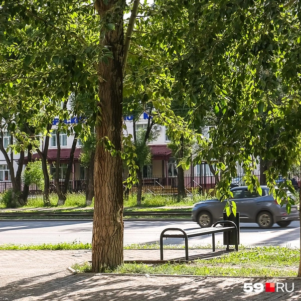 Источник: Василина Любимова / 59.RU