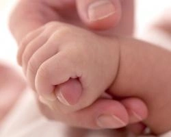 Каждый третий ребенок в Красноярском крае рождается вне брака | ngs24.ru