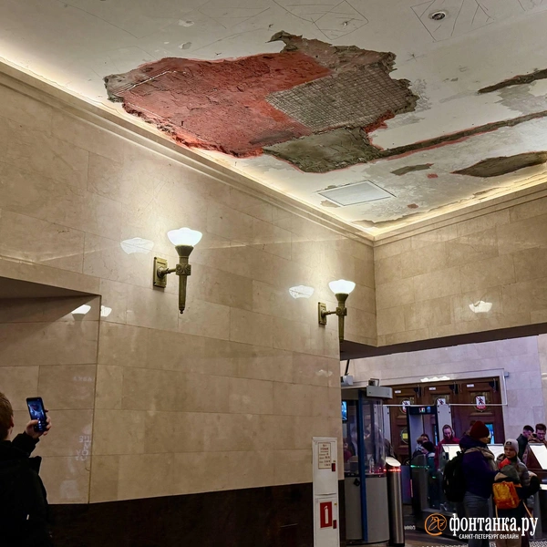 Источник: Марина Мамонтова/«Фонтанка.ру»