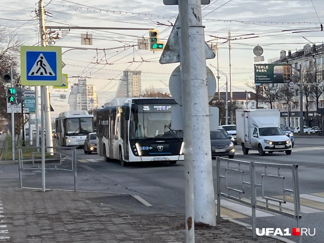 Идём дальше | Источник: Андрей Бирюков / UFA1.RU