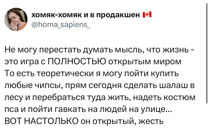 Источник: X (Twitter)