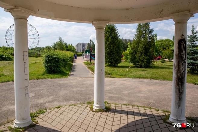 Правда, ее внешний вид отталкивает | Источник: Кирилл Поверинов / 76.RU