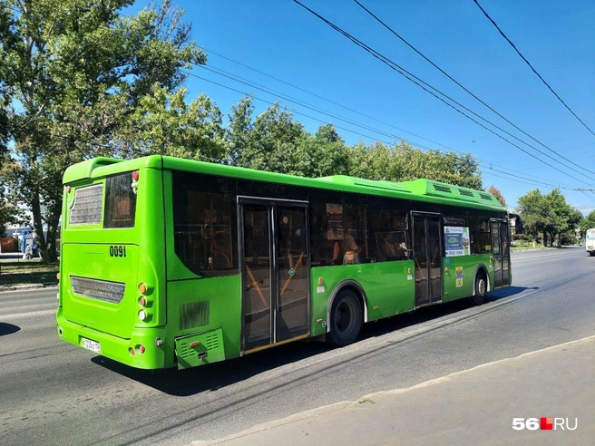 «Большой зеленый крокодил» | Источник: Анастасия Баринова / 56.RU