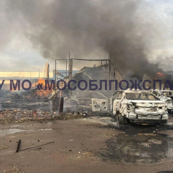 Источник: ГКУ МО «Мособлпожспас» / T.me