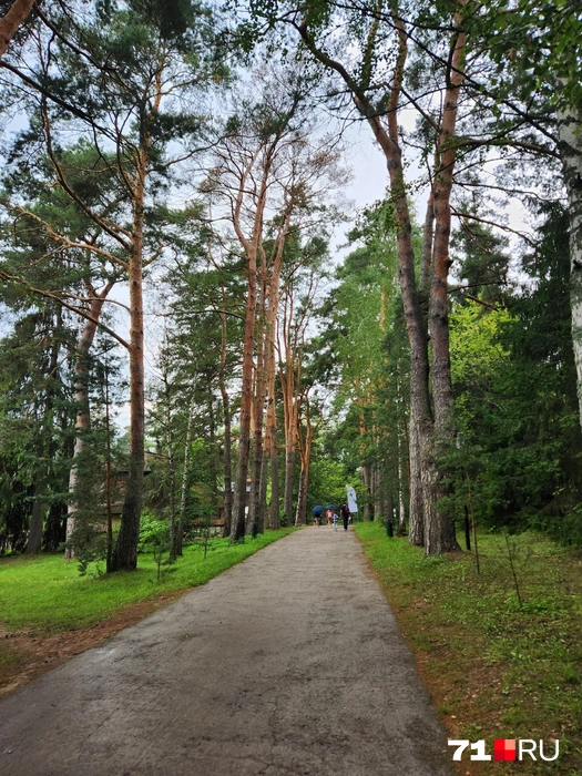 Источник: Ирина Булгакова / Городские порталы