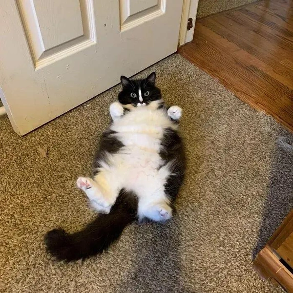 Источник: соцсети