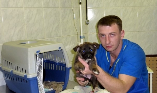 Фото №1 - Осужденный из-за кетамина петербургский ветеринар освобожден досрочно