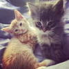 userpic__кек:З