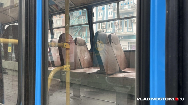 Сейчас устанавливают, какой вред здоровью нанесен водителю | Источник: Елена Буйвол / VLADIVOSTOK1.RU