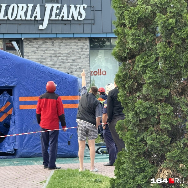 Источник: Сергей Петунин / 164.RU