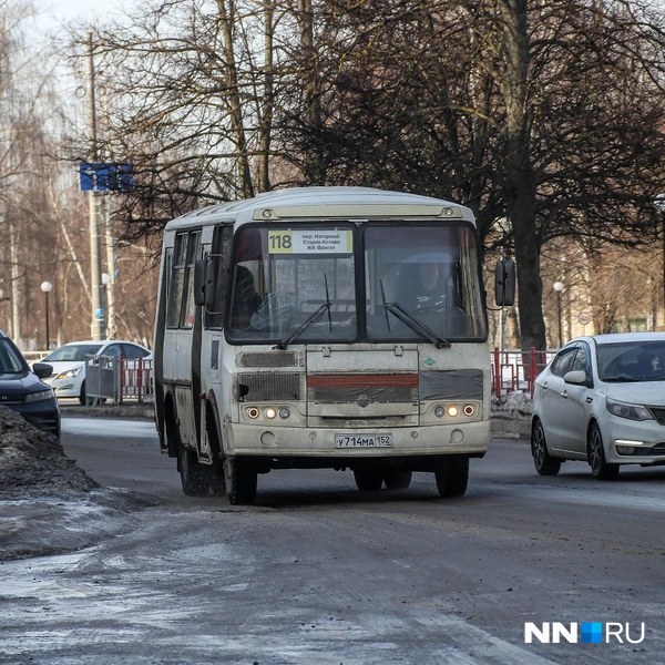 118-й автобус едет до ЖК «Фрегат» | Источник: Наталья Бурухина / NN.RU