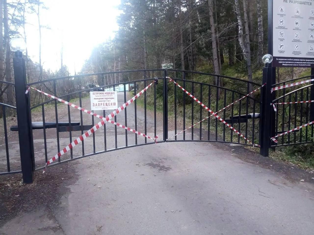 Когда можно будет погулять на Столбах? Запрет на посещение продлили из-за медведей