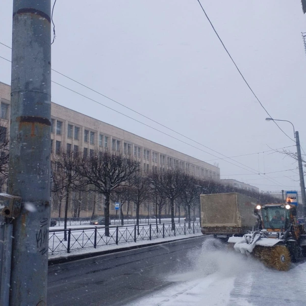 Источник: Комитет по благоустройству Санкт-Петербурга
