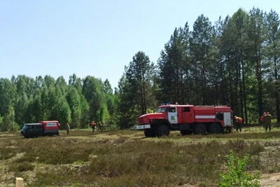 Лесной пожар в Пыщугском районе локализован