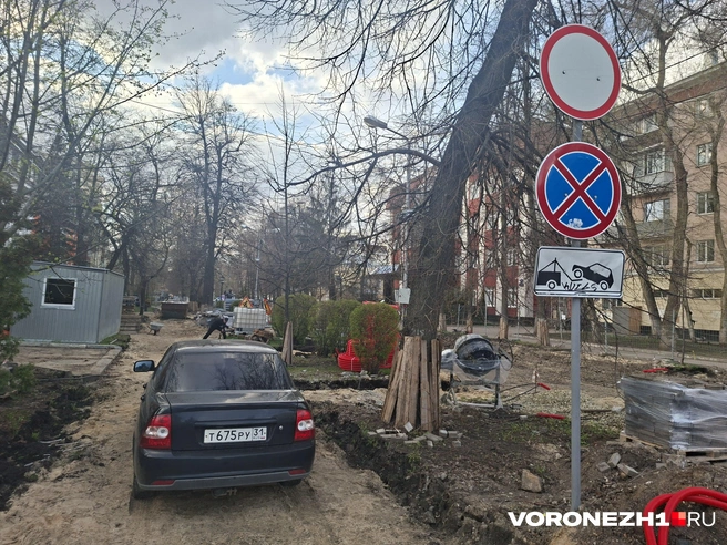 Островки земли, на которых не будут укладывать плитку, своими размерами не поражают | Источник: Алёна Воропаева / Voronezh1.ru