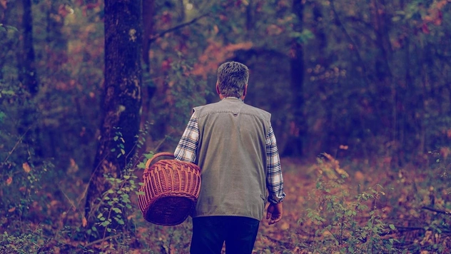 В Приморье нашли заблудившегося грибника: секреты, которые помогли ему прожить четыре дня в лесу
