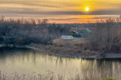Кабаны разрыли участки перед домами в башкирском селе