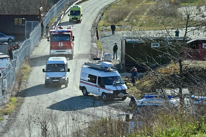 Спасательные службы отработали эвакуацию «пострадавших» с высоты | Источник: sochi.ru