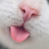 userpic__inmymind138
