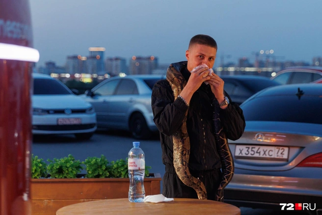 Иногда прогулки по городу оборачиваются такими встречами. Ничего необычного&nbsp;— просто парень с питоном на шее ест бургер | Источник: Ирина Шарова / 72.RU