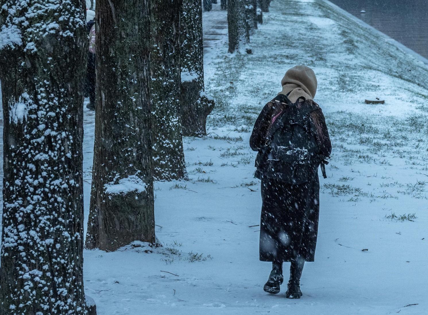 «Существенный дефицит»: почему в Кургане нет снега и когда он появится