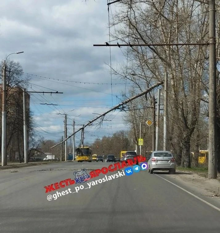Дерево повисло на проводах в Дзержинском районе | Источник: «Жесть Ярославль» / max