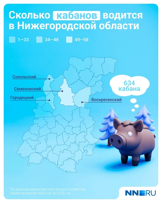 Специалисты контролируют численность кабанов | Источник: Евгения Бикунова / Городские медиа