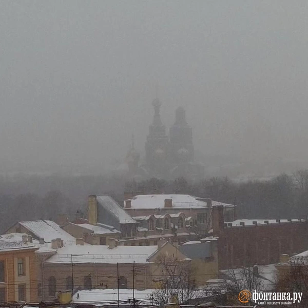 Источник: видовые камеры «Фонтанки»