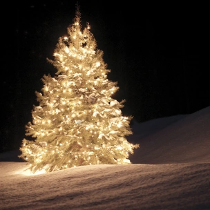 Тест: Выбери елочку и узнай, какой новогодний фильм тебе посмотреть 🎄