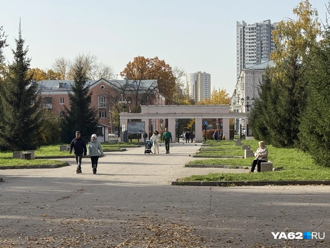 С самого утра рязанцы идут в парк ловить последние солнечные лучи | Источник: Сергей Петунин / YA62.RU