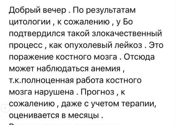 Актриса сообщила о злокачественном заболевании своего питомца