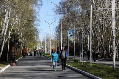 В омских парках пройдет обработка от клещей