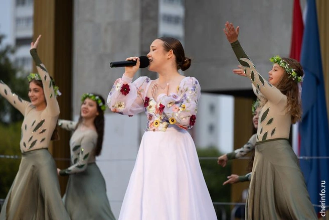 Источник: st.cherinfo.ru