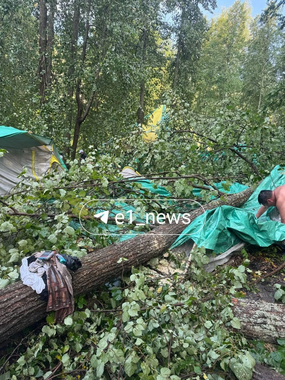 В палатке, которая попала на фото, к счастью, никого не было | Источник: читатель E1.RU